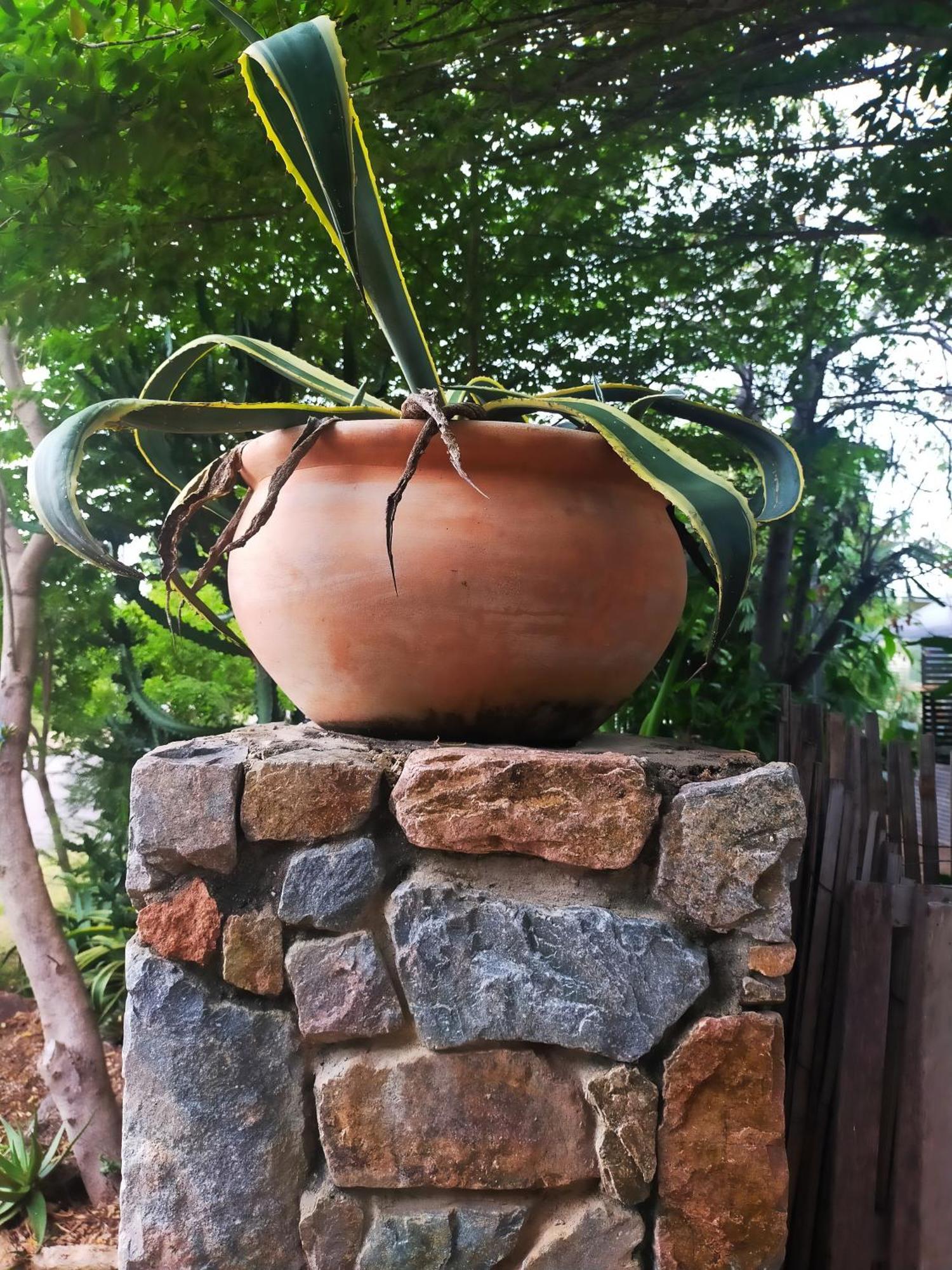 Kapok Pod Entire Studio Horseshoe Bay Exterior photo